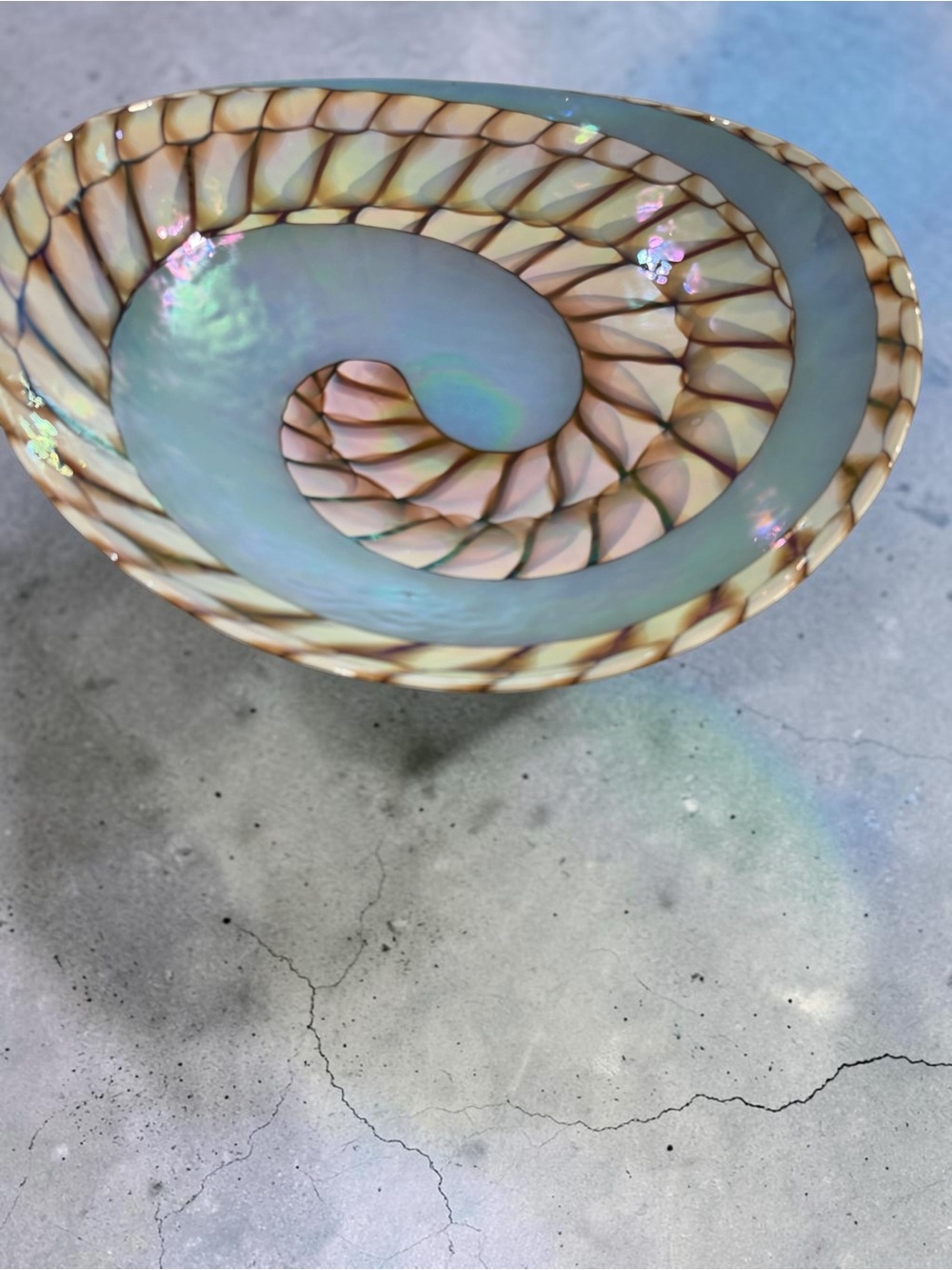 Yalos Murano Fornace Ferro Tuareg Iridescent Nautilus Shell Glass Bowl 20” - Picture 3 of 14